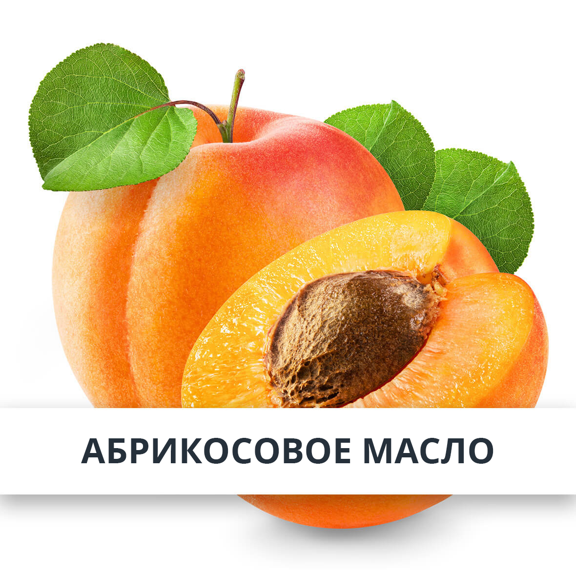 Абрикосовое масло