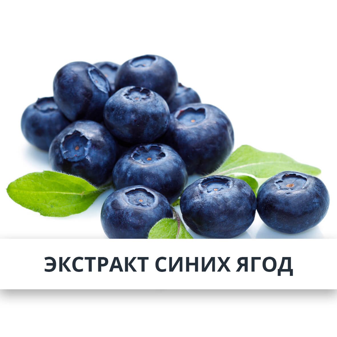 Экстракт синих ягод