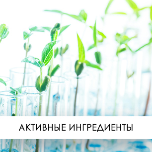 Активные ингредиенты Активные ингредиенты