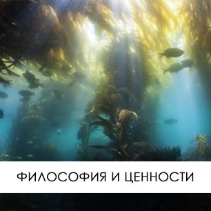 Философия и Ценности Философия и Ценности